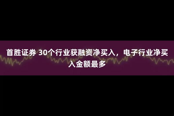 首胜证券 30个行业获融资净买入，电子行业净买入金额最多