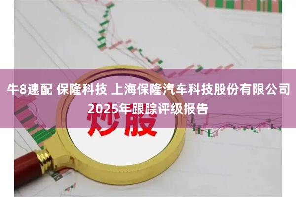 牛8速配 保隆科技 上海保隆汽车科技股份有限公司2025年跟踪评级报告